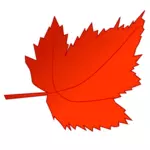 Röda och orange maple leaf vektorbild