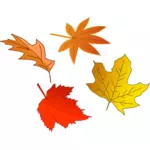 Immagine vettoriale selezione di foglie d'autunno
