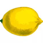 레몬 과일