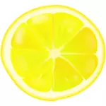 Lemon slice vector image