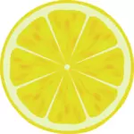 Lemon slice vector drawing