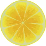 Żółty Kromka owoców cytrusowych