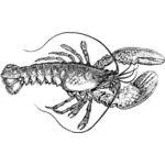 Lobster clip art image