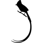 Lange-tailed vogel silhouet