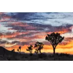 Wüste Landschaft Sonnenuntergang