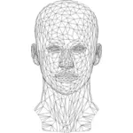 Wire frame human head