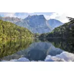 Imagen vectorial de lago austríaco