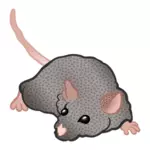 Schnüffelnde Maus