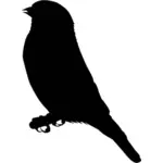 וקטור תמונה של ציפור חוחית על ענף