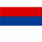 Flaggan i provinsen Misiones