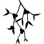 Mistletoe silhouette