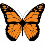 벡터 이미지의 넓은 주황색 나비 날개를 확산