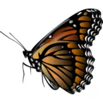 Papillon monarque image clipart vectoriel