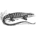 Graphics of black and white lizard in nature
