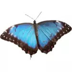 Ilustrasi biru kupu-kupu