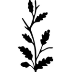 Oak branch silhouette