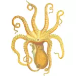 Oktopus-Illustration