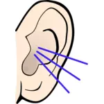 Vector image of color listening ear
