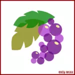 Violetti viinirypäleiden kuva
