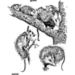 Afbeelding van de muizen
