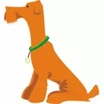 Oranssi koira istuu