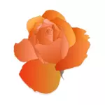 Trandafir portocaliu