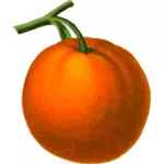 Naranja madura