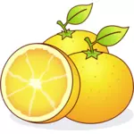 Saftiga apelsiner