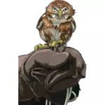 Owl perched on gloved hand
