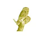 Owls vintage