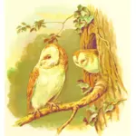 Two owls image