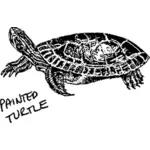 Desenho de tartaruga