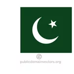 パキスタンのベクトル フラグ