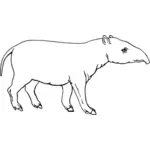 Outlined tapir
