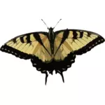 Zwarte en bruine vlinder