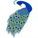 Графика синий павлин хвостом и головой