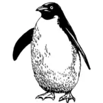 Pinguino di disegno
