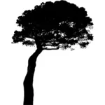 Grafica vettoriale di pino a forma rotonda