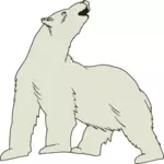 Urso polar vector imagem