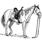 Saddled paard