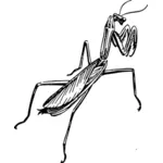 Praying mantis tekening