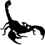Scorpion vector image