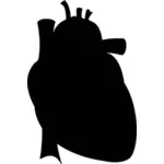 Realistic heart silhouette