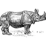 Ilustración del rinoceronte