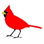 Kardinal kuş vektör küçük resim