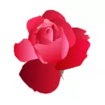 الرسم الرقمي من وردة حمراء