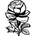 Ilustracja Róża
