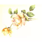 Vintage rose Dekoration