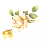 Flor color de rosa amarillo