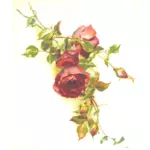 जंगली लाल गुलाब वेक्टर छवि